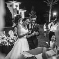 amalgama fotografia elche yeguada la gloria_-7
